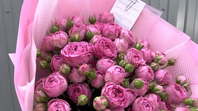 Букет из 15 веток пионовидной розы Misty Bubbles смотреть онлайн