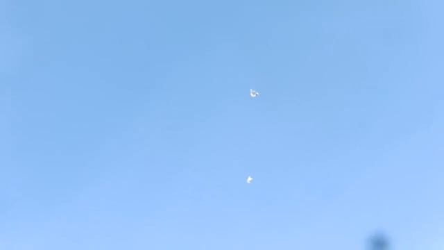 первая разминка голубей Геннадия смотреть онлайн