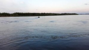 сиа про 9.9 отн .Лодка PELICAN 330.