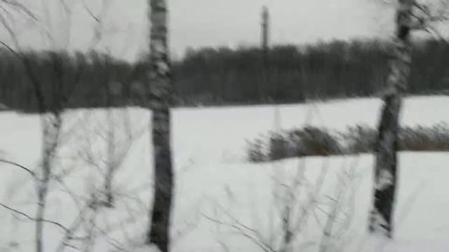 МИНИСНЕГОХОД РАЗГУЛЯЙ