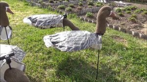 Чучела белолобого гуся "FLOCK DECOYS"