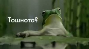 Рекламный ролик Мотилиума