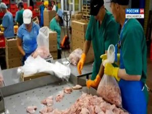 Территория закона: выпуск 6 (Россия-24. Красноярск)