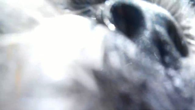 Багги стаил. Один день из жизни дачника смотреть онлайн