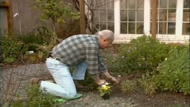 Gardening in America - January complete show #4 смотреть онлайн