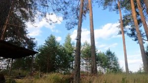 Деревня Сырково, Вологодская область
