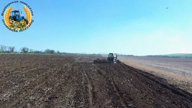 Трактор МТЗ 82 с БДТ и КПС 4. Культивация - Дисковка. Есть-ли черви у классика. смотреть онлайн