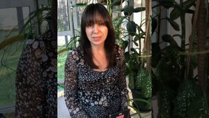 Как мыть окна правильно?