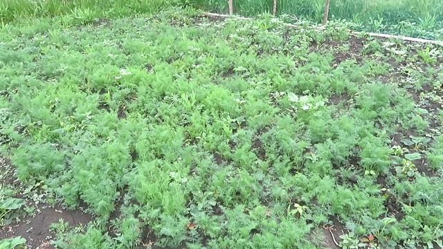 Огородно- хозяйственные работы в деревне. смотреть онлайн