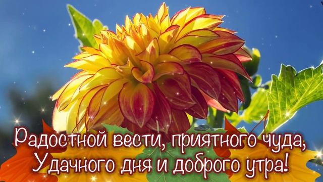 С добрым утром!☀️Пожелания счастливого, удачного дня✨, отличного настроения? и тёплой осени!