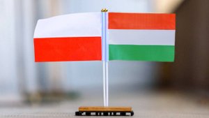 Новый раскол: дипломатический скандал разгорелся между Польшей и Венгрией