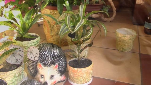 Для чего нужны дренажные отверстия в горшках? Как сделать такие отверстия!? смотреть онлайн