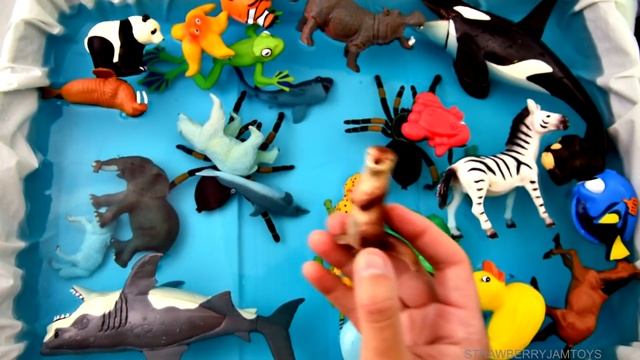 Cow, Elephant and Duck Animal Learning for Kids | Education For Kids смотреть онлайн