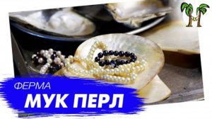 Жемчужная ферма Мук Перл на Пхукете | Mook Pearl Farm and Shop