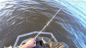 Рыбалка сетями или промысловый лов рыбы. Крупная рыба в крупные сети. Богатый улов! Видео 2020.