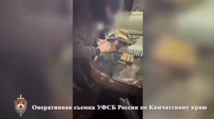 ФСБ задержала жителя Петропавловска-Камчатского по подозрению в подготовке теракта