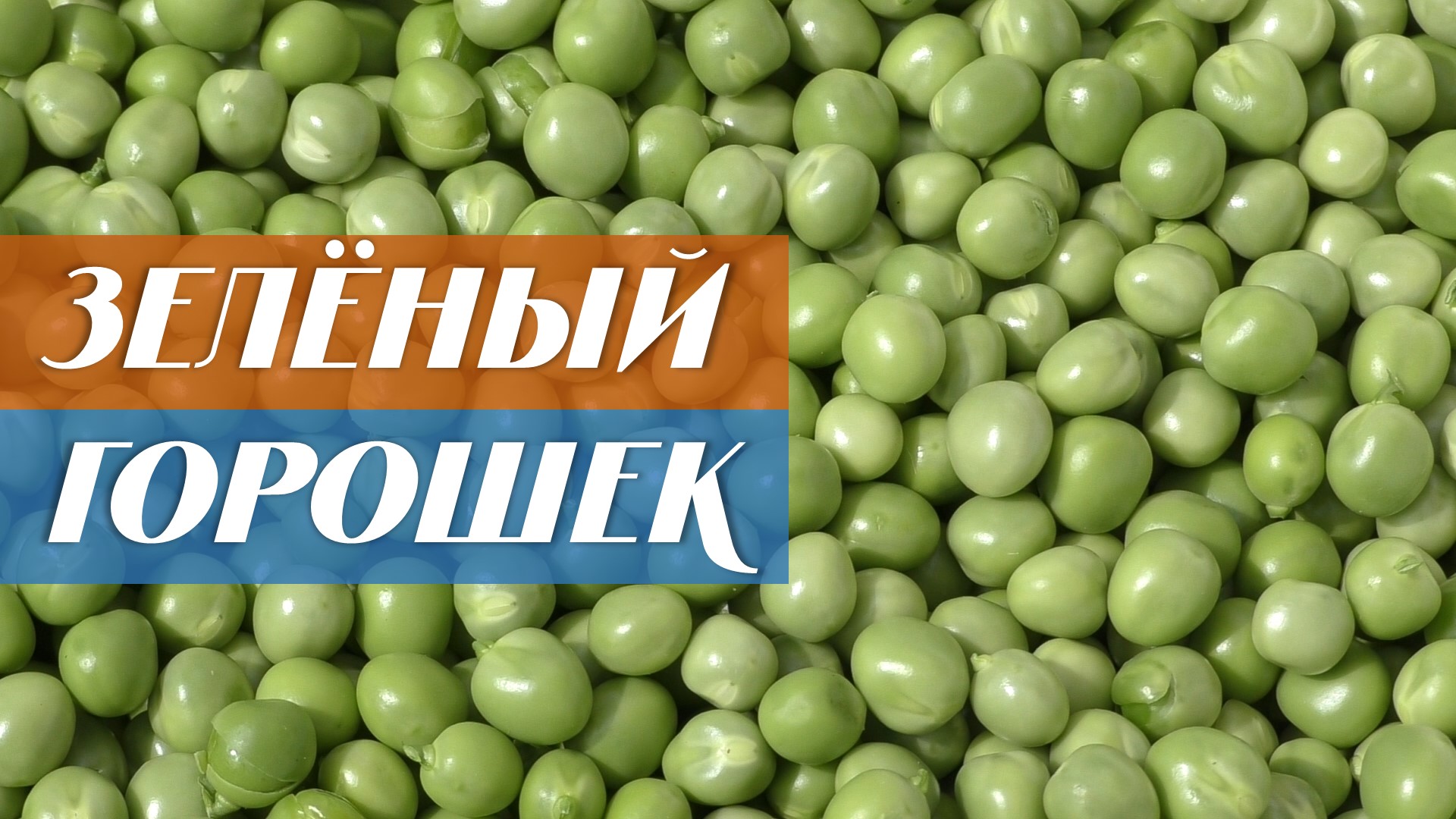 Большой урожай зеленого горошка смотреть онлайн