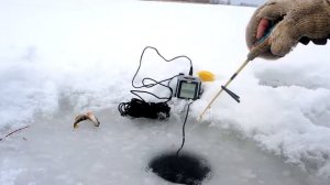 Эхолот для рыбалки LUCKY FF718D  ОН ИЩЕТ КРУПНЯК!