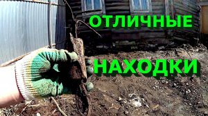 Отличные  находки на деревенском участке!
