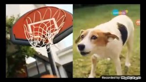 Карусель рекламный блок 11 05 2023