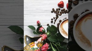 Советы для начинающих Квшников! Как не стать сью, и кто они вообще такие?