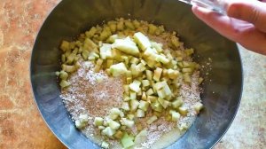 Ароматное печенье из овсяных хлопьев с кусочками яблок ? Oatmeal cookies with apples