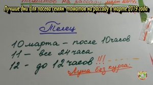 Лучшие дни для посева семян томатов на рассаду в марте 2019 года