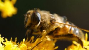 БОГ ЕСТЬ! - 4 доказательства существования Бога