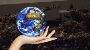 Сохраним природу вместе