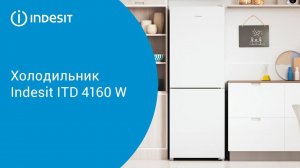 Холодильник Indesit ITD 4160 W - обзор модели