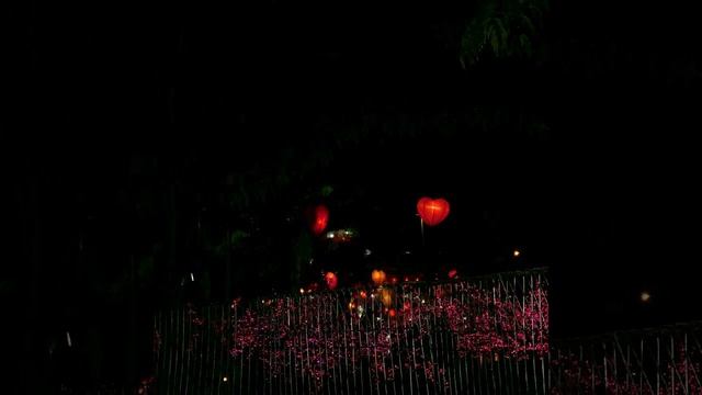 Hasil foto nikon coolpix B500 смотреть онлайн