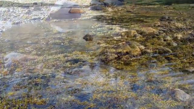 Отдых на заливе смотреть онлайн