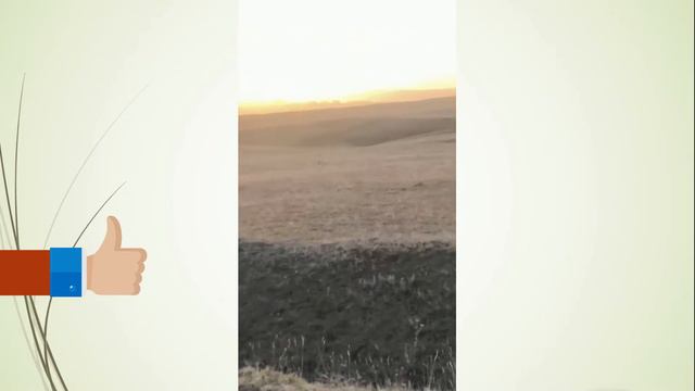 Прививки для лошадей. Дагестан. смотреть онлайн