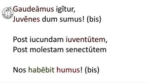 Гимн студентов Gaudeamus. История создания, подробный разбор. Кто такие ваганты? Исполнение гимна.