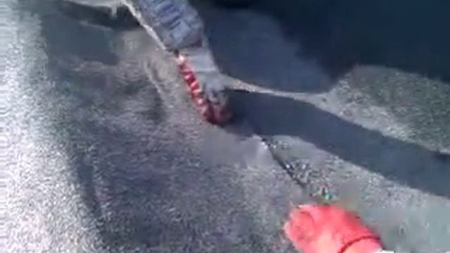 технониколь кровля