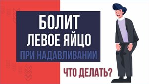 Болит левое яйцо при надавливании. Что делать? | Евгений Грин
