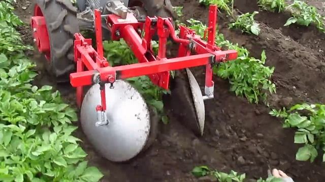 Первое окучивание картошки после посадки трактором. смотреть онлайн