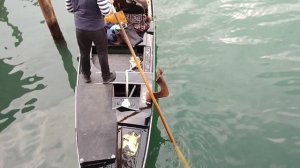 Романтика Венеции: Большой канал, старинные палаццо и гондолы, мост Риальто и мост Скальци