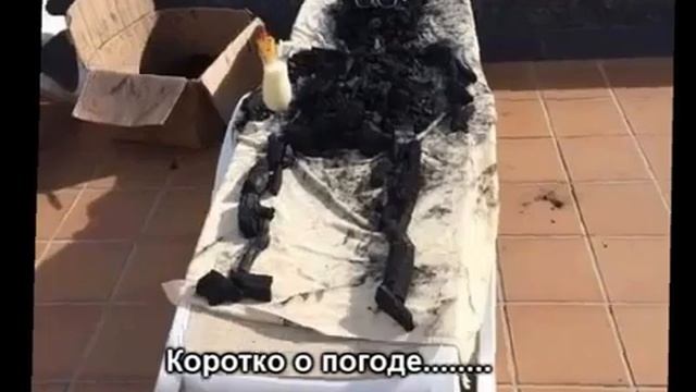 Прикольные мемы на тему: Смех и грех ! смотреть онлайн