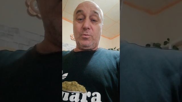 Как приготовить, хранить, употреблять лечебные травы и настои из них??? ♥️ смотреть онлайн