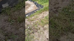 27 июля. Ответы на вопросы про дорожки из плетняка женскими руками.