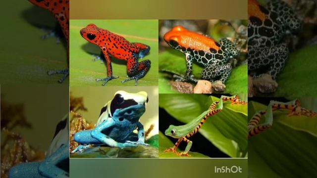 Притча о том как не потерять уверенность в себе смотреть онлайн