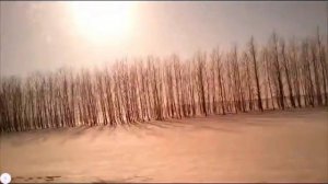 Дорога из окна авто-2