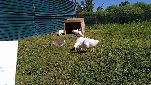 Для чего важна подготовка