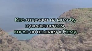 Шайх Ясир Ад Даусари Сура «Муравьи»