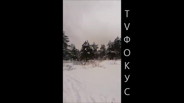 Зима Матвеевский залив. Труханов остров. Киев. 20.12.2018 г. #Кот_Баюн #TV_ФОКУС