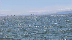 Море в июне. Владивосток