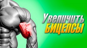 4 упражнения для мощных бицепсов!