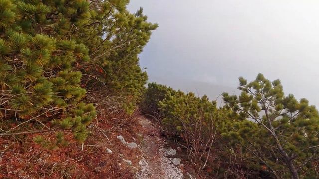 Однодневный поход в горы / Виртуальная прогулка по горному хребту 4K / Гора Острая, остров Сахалин смотреть онлайн