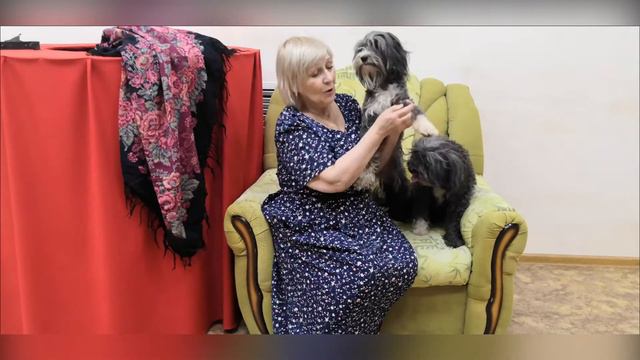 "Советы по уходу за собаками" смотреть онлайн